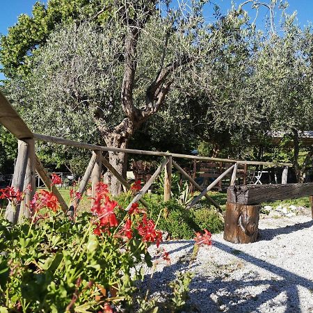 Villa Santa Croce à Fossato di Vico Extérieur photo