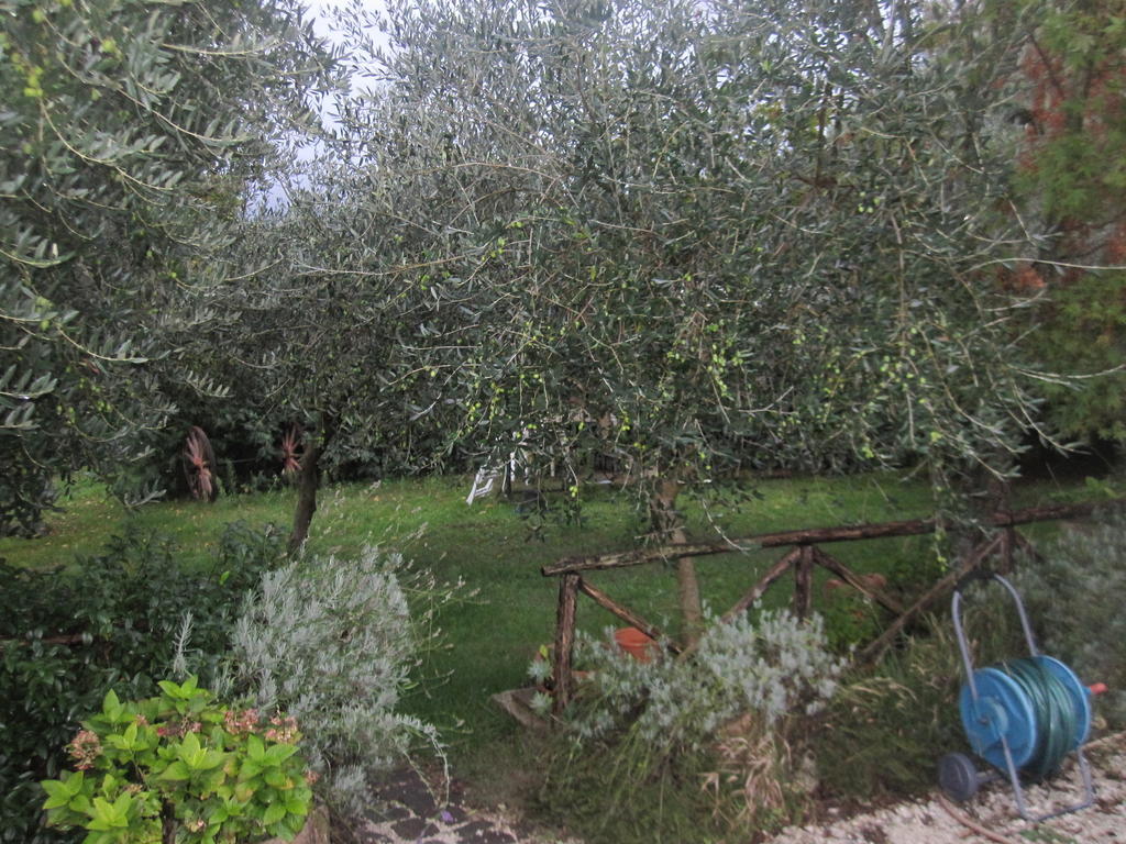 Villa Santa Croce à Fossato di Vico Extérieur photo