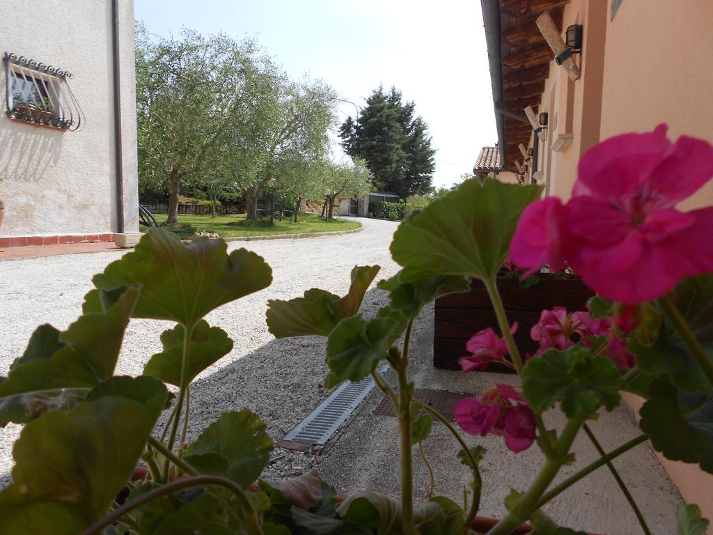 Villa Santa Croce à Fossato di Vico Extérieur photo